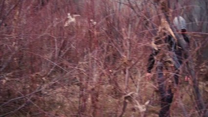 Videoclip - Punto y aparte