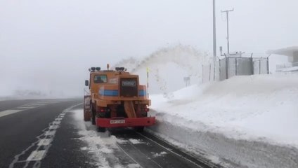Limpieza de Alto de Los Leones (Guadarrama) tras Filomena
