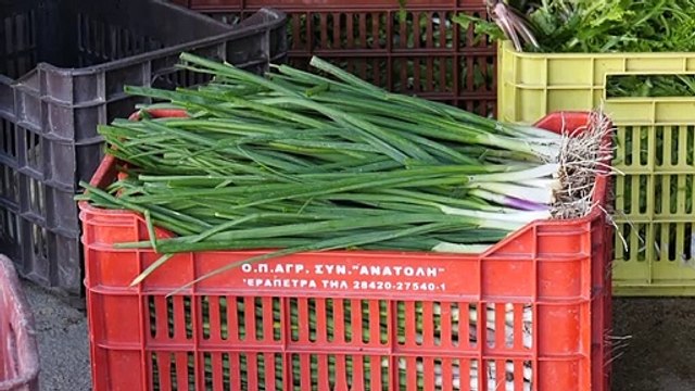 Κλειστές οι λαϊκές αγορές στη Βοιωτία. Σε απόγνωση οι παραγωγοί