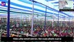 Mamata Banerjee On NRC Issue: ‘নিশ্চিন্তে মায়ের কোলে ঘুমোন, এনআরসি এনপিআর হতে দেব না’