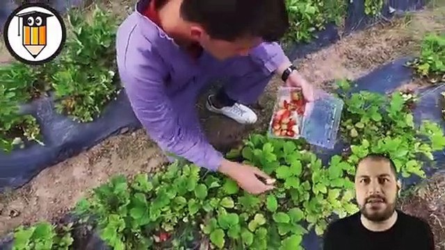 Isparta Uygulamalı Bilimler Üniversitesi Tanıtım Videosu