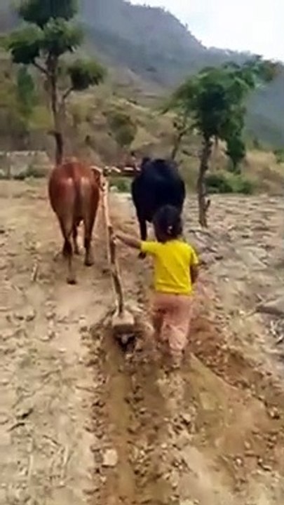 Funny Child Trying Ploughing
