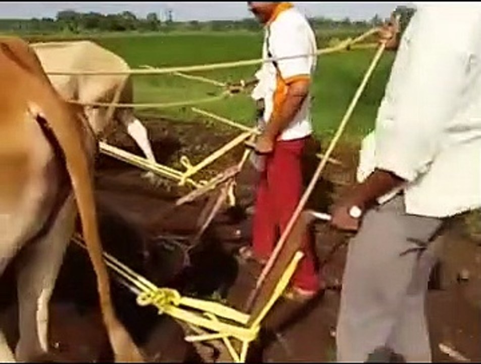 Boys Ploughing In Group