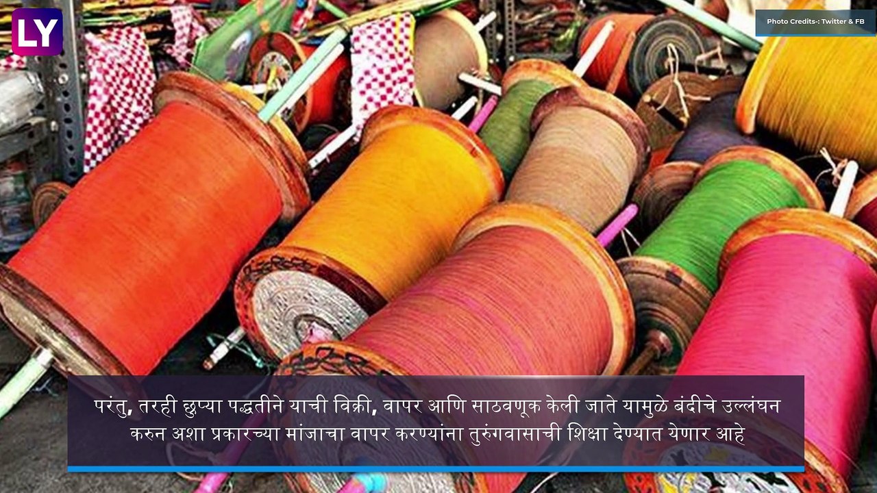 Nylon Manja Banned In Maharashtra: नायलॉन मांजा...
