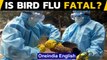 Bird Flu: Is it fatal, how is it transmitted and how to stay safe?|Oneindia News