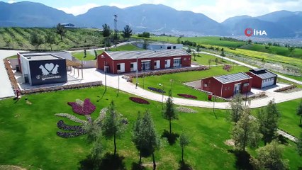 2020 yılında bin 100 sokak hayvanı sahiplendirildi