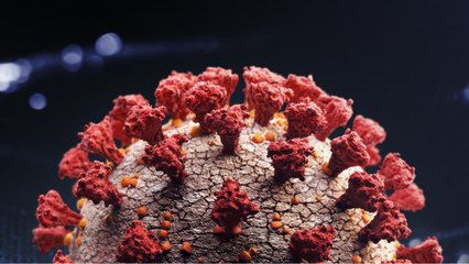 Ohio Researchers Identify New Covid Strains