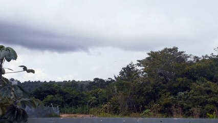 ATR72-600 PP-PTN na aproximação final antes de pousar em Manaus vindo de Parintins