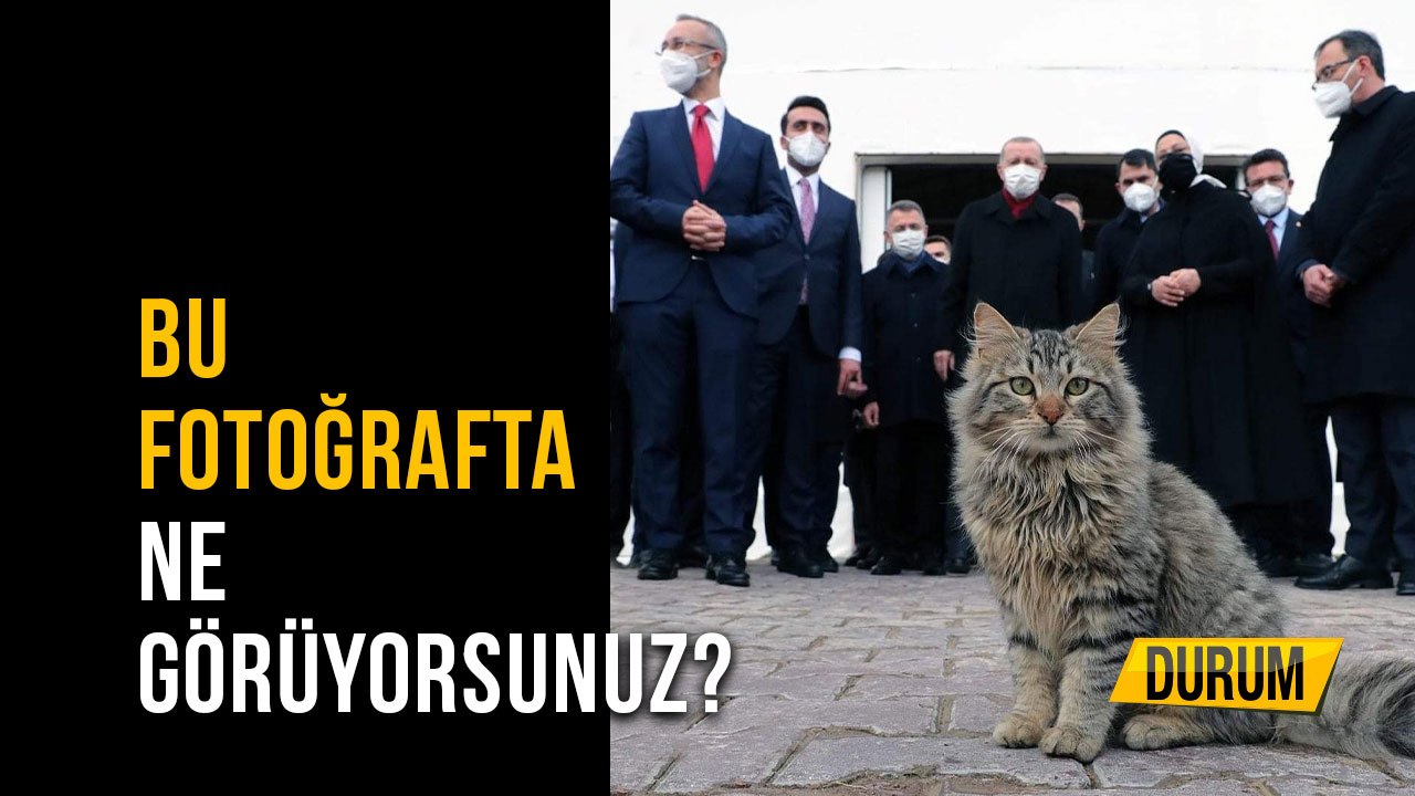 Bu Fotoğrafta  Ne Görüyorsunuz?