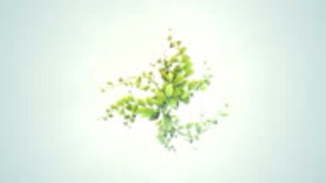 Les 10 meilleurs outils pour créer des GIFs en ligne