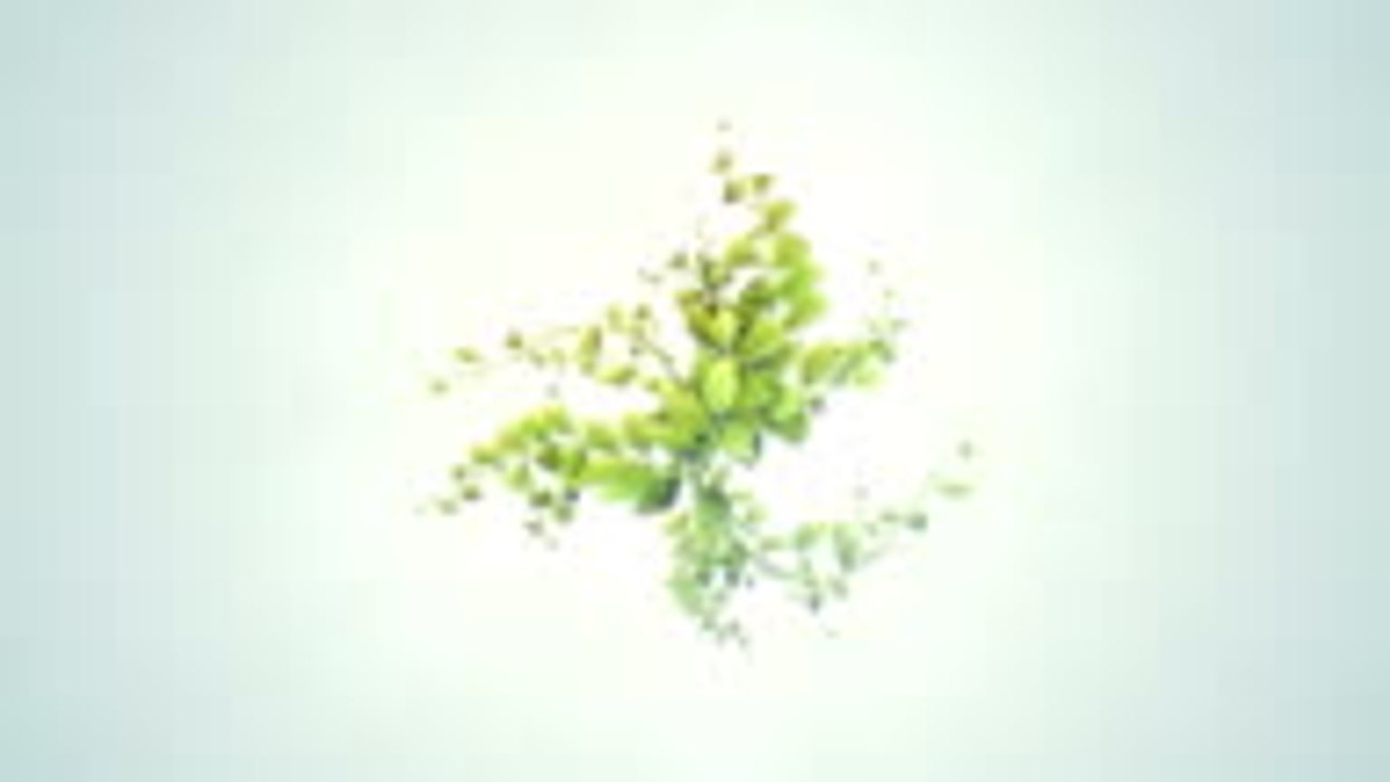 Les 10 meilleurs outils pour créer des GIFs en ligne