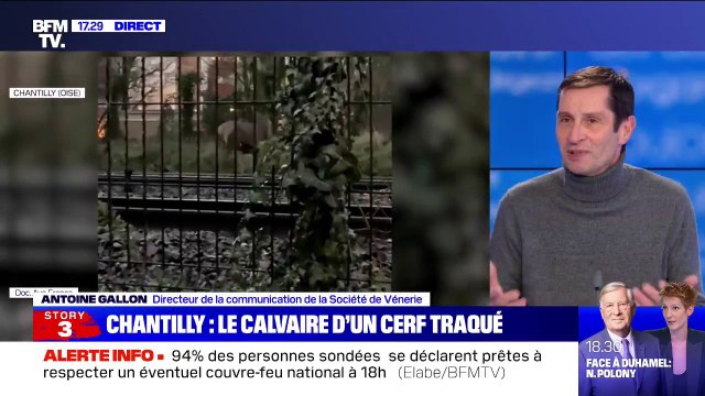 Antoine Gallon (Société de Vénerie): La chasse à courre est le mode de chasse le plus naturel de tous ceux qui existent