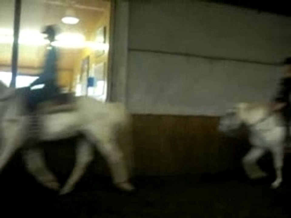 Photo 076