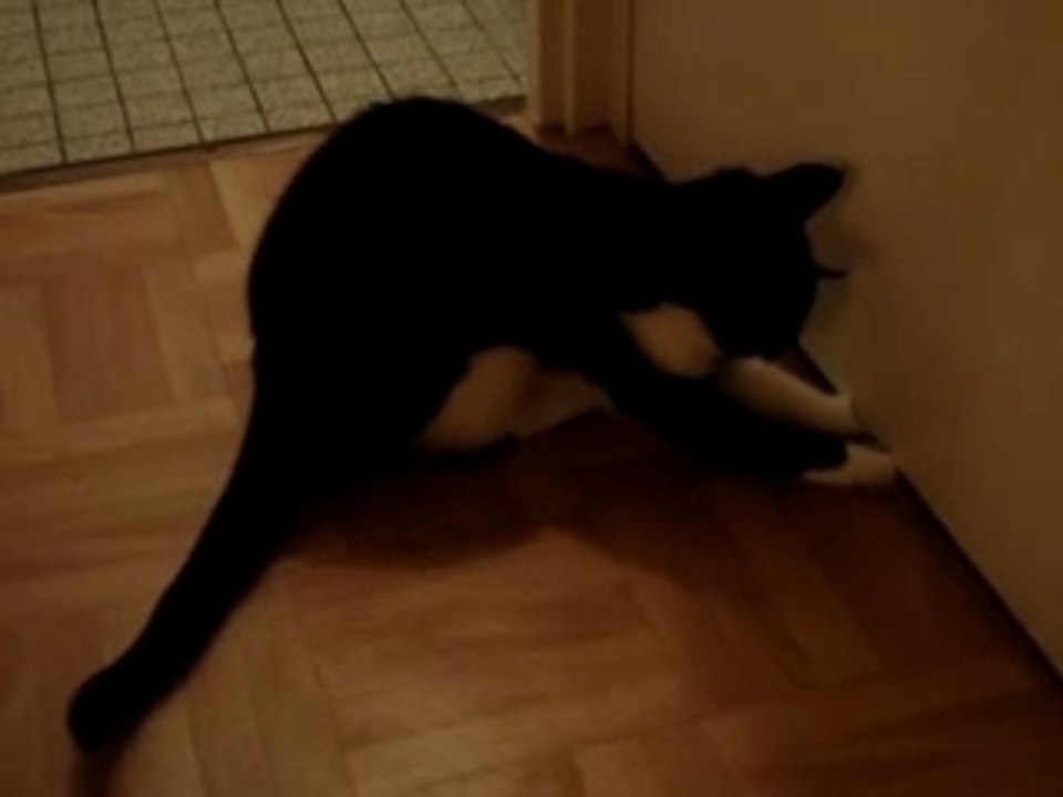 DERRIERE LA PORTE BEHIND THE DOOR