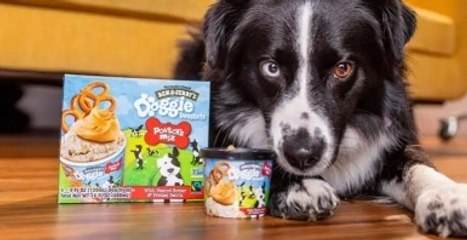 Ben & Jerry's to Start Making Frozen Dog Treats