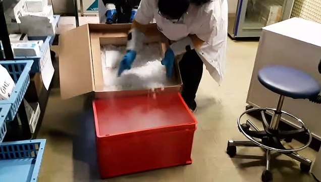 Livraison de 4.875 vaccins Pfizer-BioNTech anti-Covid à l'hôpital Robert Ballanger d'Aulnay-sous-Bois