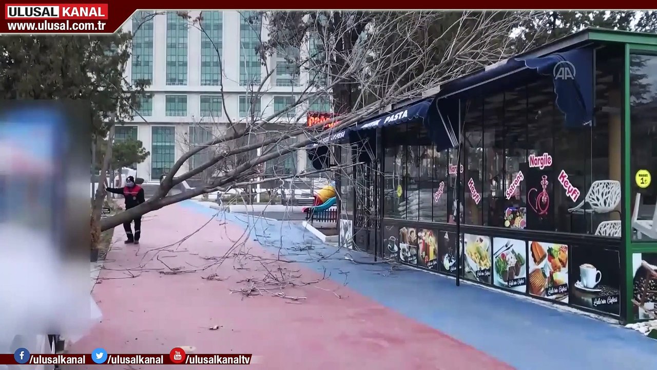 Yurdun doğusundan batısına hava durumu