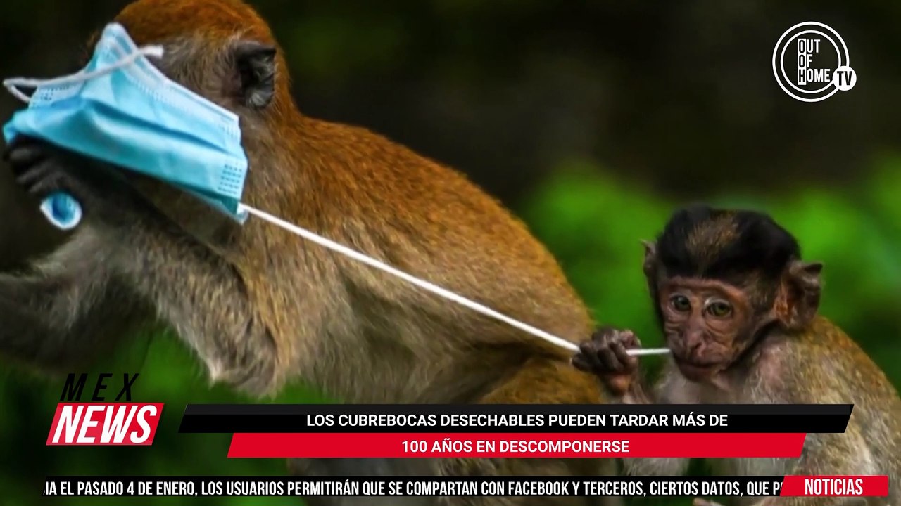 ROBOTS DOMÉSTICOS, LA NUEVA APUESTA DE SAMSUNG