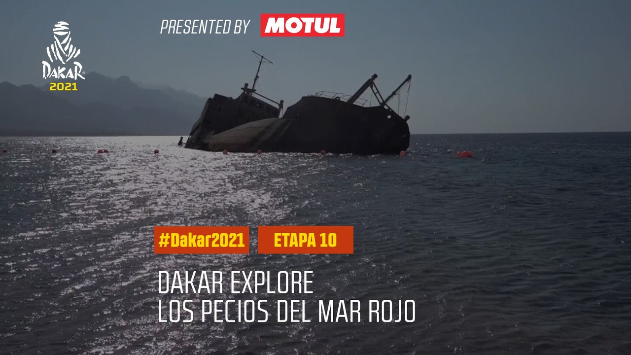 #DAKAR2021 - Etapa 10 - Los pecios del Mar Rojo
