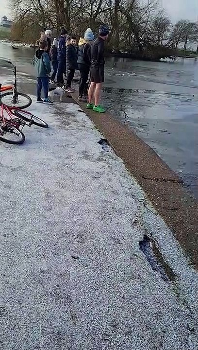 Un joggeur saute dans un lac gelé pour sauver un chien  (Angleterre)... héros du jour