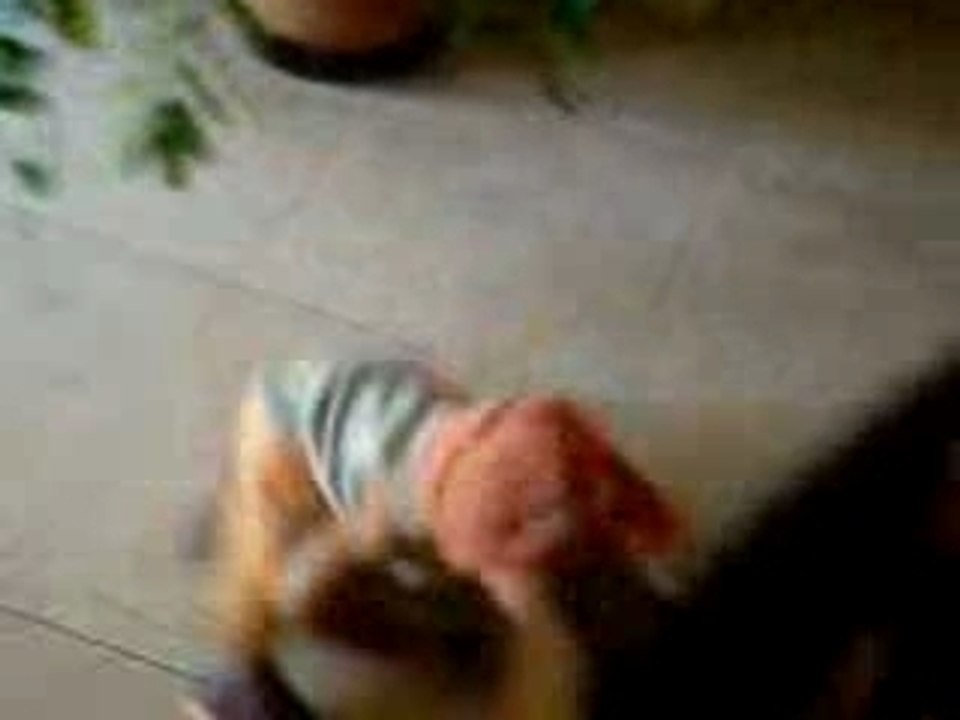 ça y est je marche bien!!