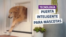 [CH] Puerta inteligente para mascotas