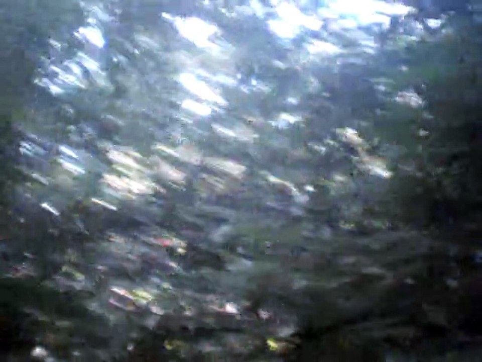 over the bridge