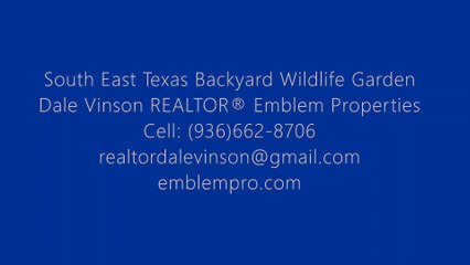 Backyard Wildlife Garden 41