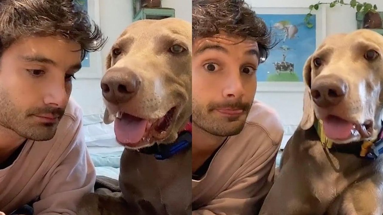Este hombre habla con su perro y... ¡parece que se entienden!