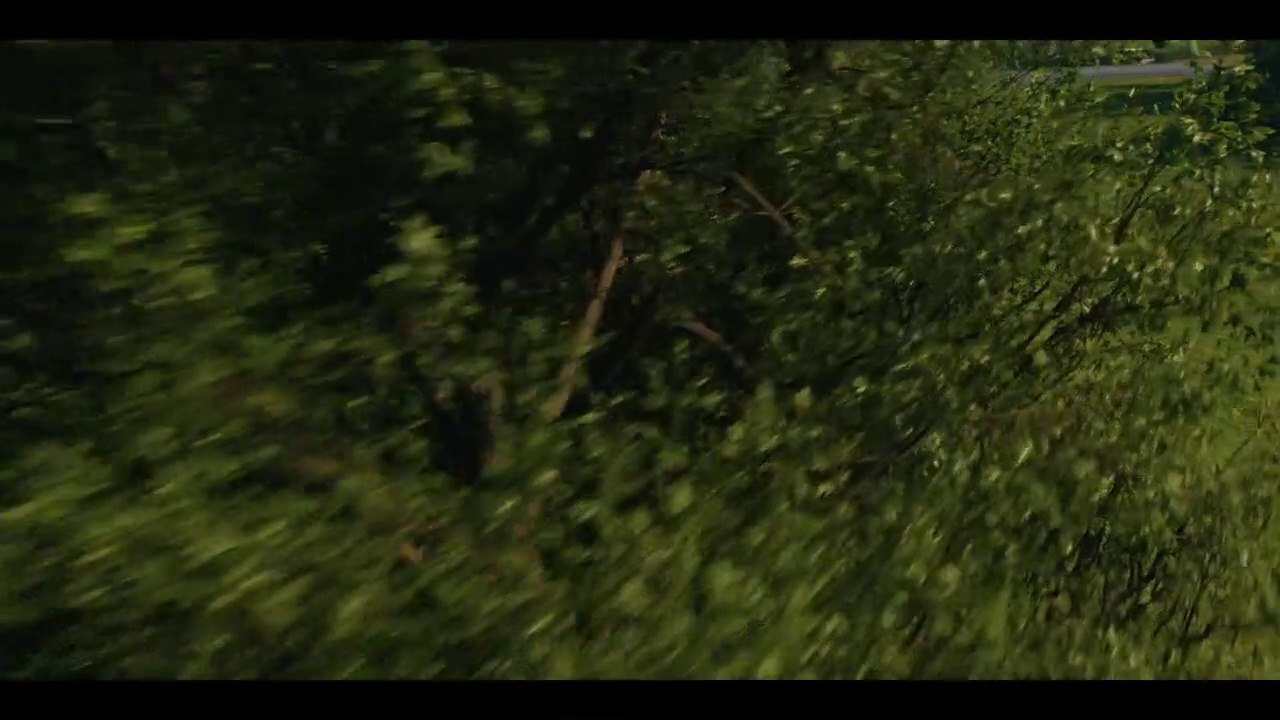 Ariana Grande  positions official video