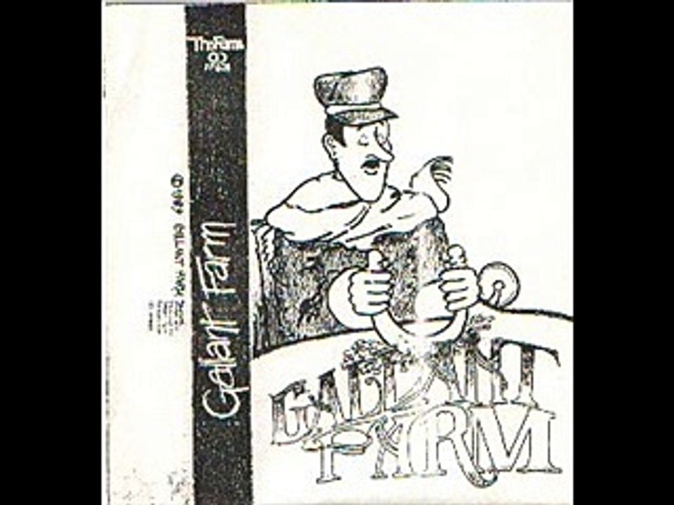 Gallant Farm - Down the slide
