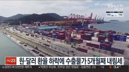 원·달러 환율 하락에 수출물가 5개월째 내림세