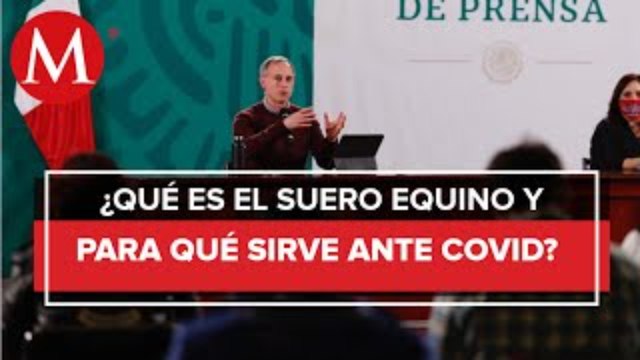 Suero equino hiperinmune, útil para generar anticuerpos al SARS-CoV-2