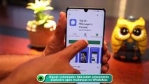 Signal- cofundador fala sobre crescimento explosivo após mudanças no WhatsApp
