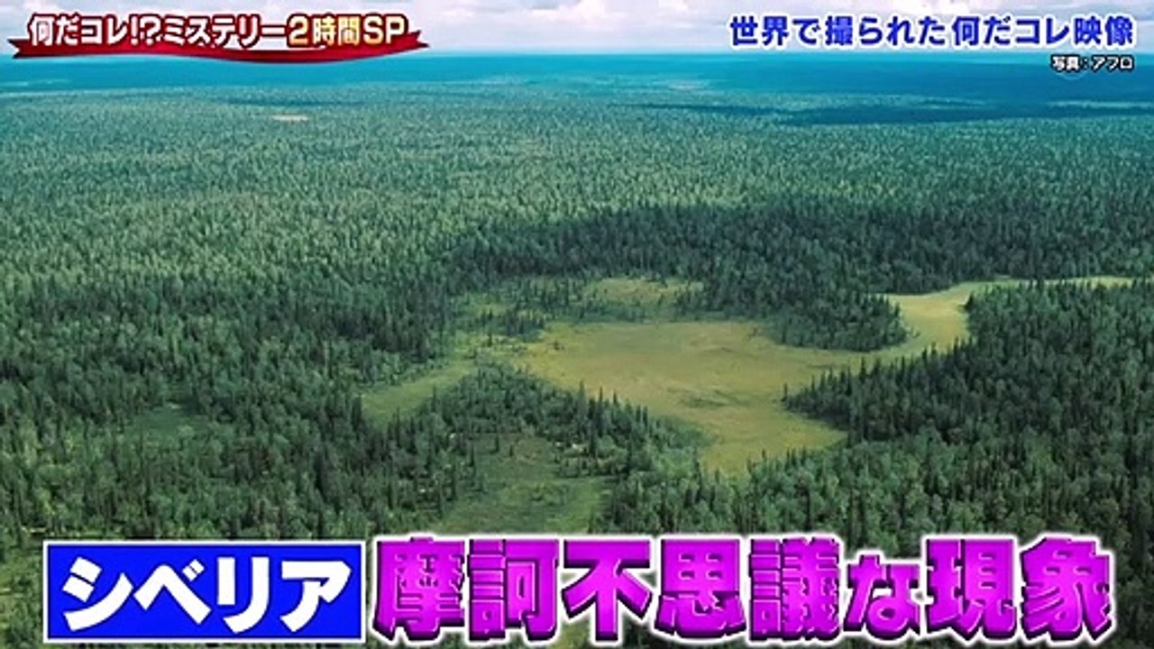 バラエティー無料視聴 - 無料バラエティ視聴 動画　9tsu　Miomio - 世界の何だコレ！？ミステリーSP 動画　9tsu  2021年1月13日