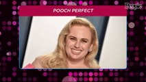 ABC Picks Up Rebel Wilson's Popular Dog Grooming Competition Series, Pooch Perfect