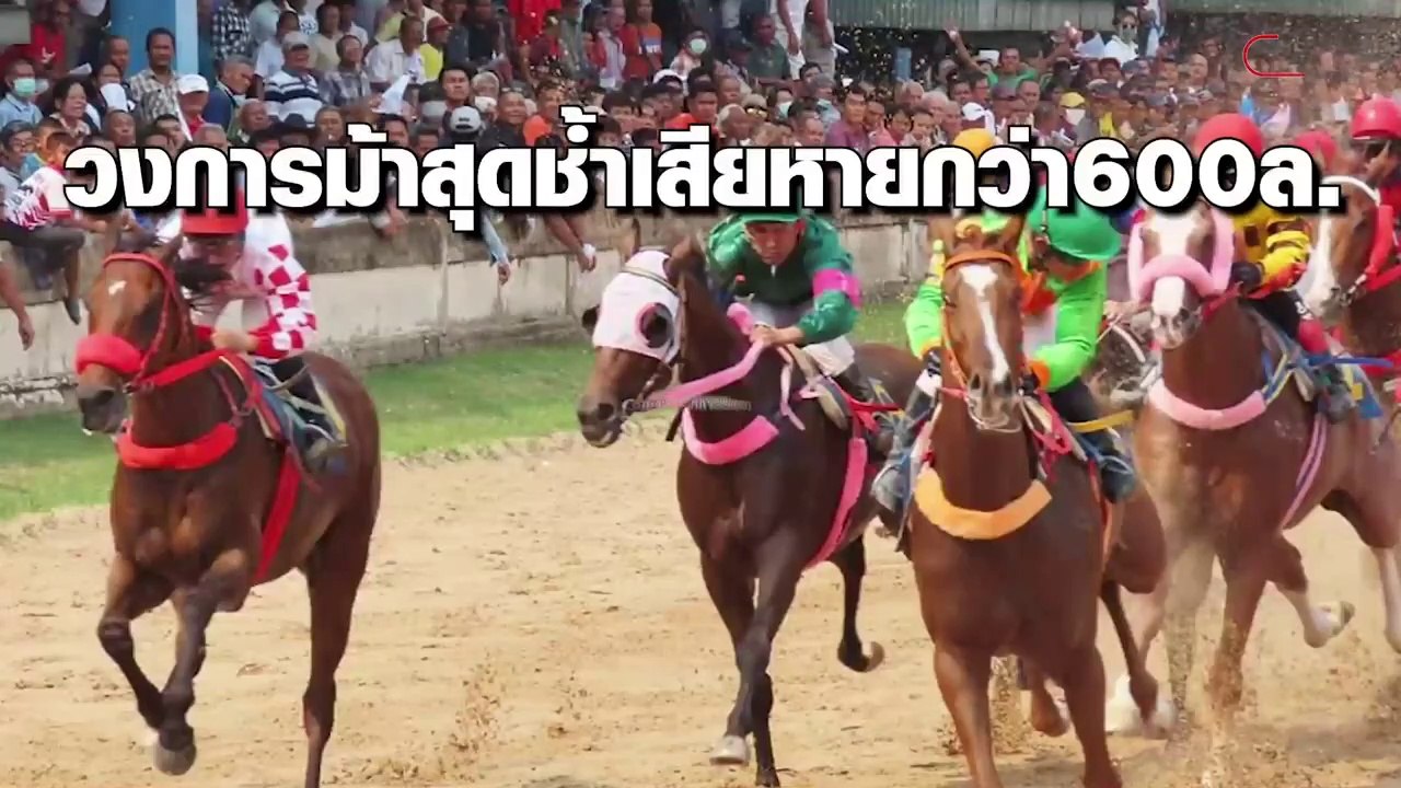 ชมรมม้าแข่งโคราชหารือหลังรับผลกระทบโควิดเสียหายกว่า 600 ล้าน