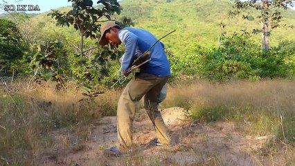 Man Make Quick Eagle Trap Using Wood. Best vedio of braveness.