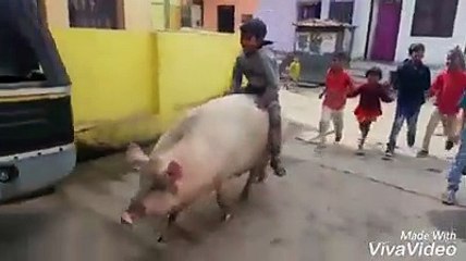 Village boy stylish car