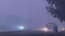 Visibility drops as dense fog engulfs Delhi-NCR