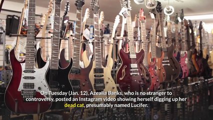 Azealia Banks Faces Backlash After Appearing to Dig Up Her Dead Cat and