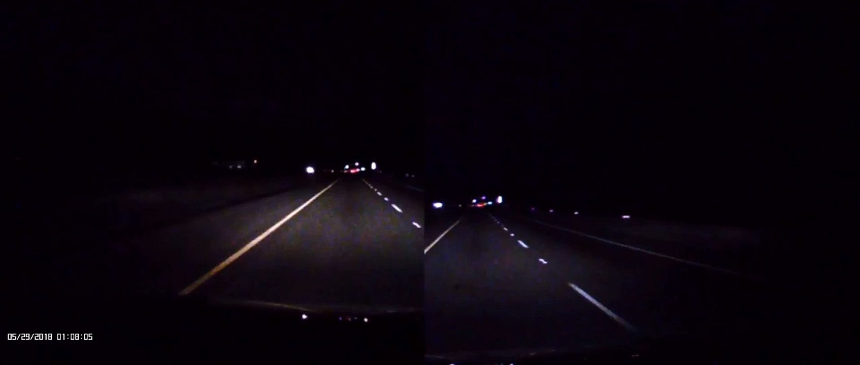 Close Call With Deer