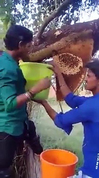 Extract honey from honeycomb