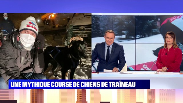 Une mythique course de chiens de traîneau - 14/01