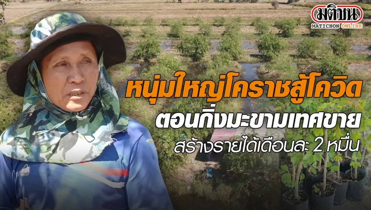 หนุ่มใหญ่โคราชสู้โควิด ตอนกิ่งมะขามเทศขาย สร้าง...