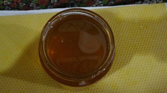 Karadeniz’de ‘deli bal’ tehlikesi…