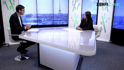Les organisations apprenantes, un modèle d'avenir [Salima Benhamou]