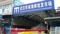 Expertos de la OMS llegan a la ciudad china de Wuhan para investigar el origen de la pandemia