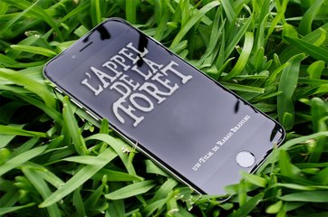 l'appel de la forêt