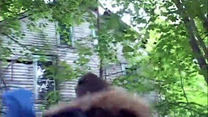 Red Woods TRAILER (2021)